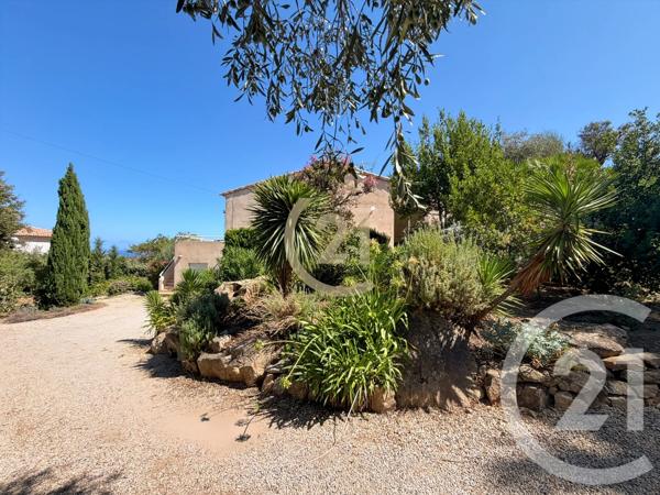 Maison à vendre  6 pièces - 144,60 m 2   MONTICELLO  - 202