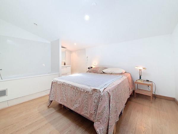 Bel appartement en duplex  avec grande terrasse