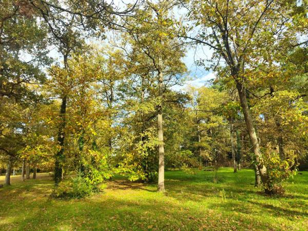 PROPRIETE DE PRES DE 3 HECTAIRES A QQES KM DE LA FLECHE