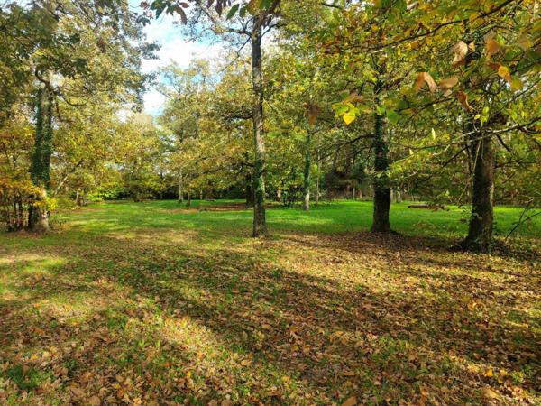 PROPRIETE DE PRES DE 3 HECTAIRES A QQES KM DE LA FLECHE