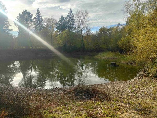 PROPRIETE DE PRES DE 3 HECTAIRES A QQES KM DE LA FLECHE