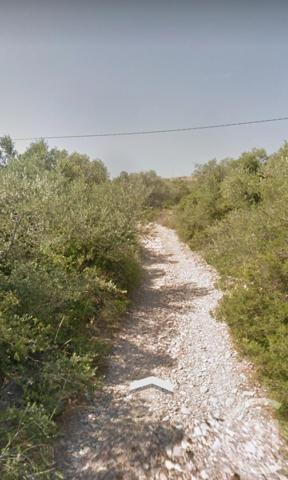 Terrain à vendre  1296 m2 LA PALME - 11