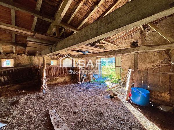 Grange d’environ 120 m² et ses 3 hectares