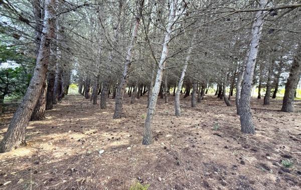 Vente Terrain Argeliers   