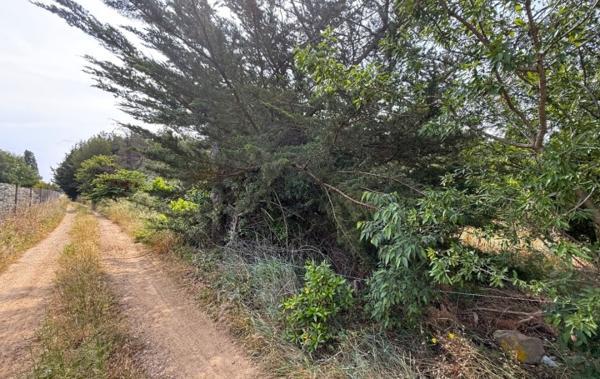 Vente Terrain Argeliers   