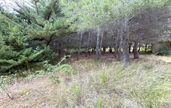 Vente Terrain Argeliers   