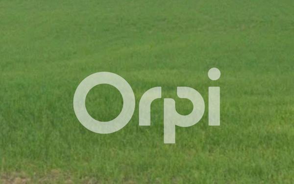 Terrain à vendre    Quint-Fonsegrives