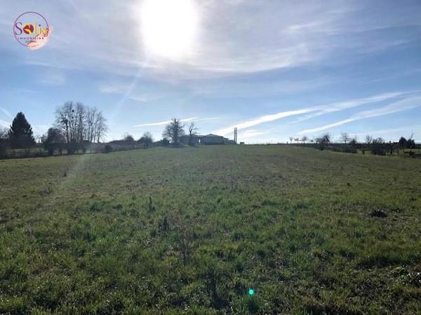 TERRAIN A VENDRE COGNAC OUEST ! Solis vous propose ...