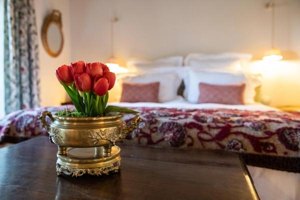 Maison à vendre aux portes de ROUSSILLON (84) 5 chambres, piscine, jardin paysagé