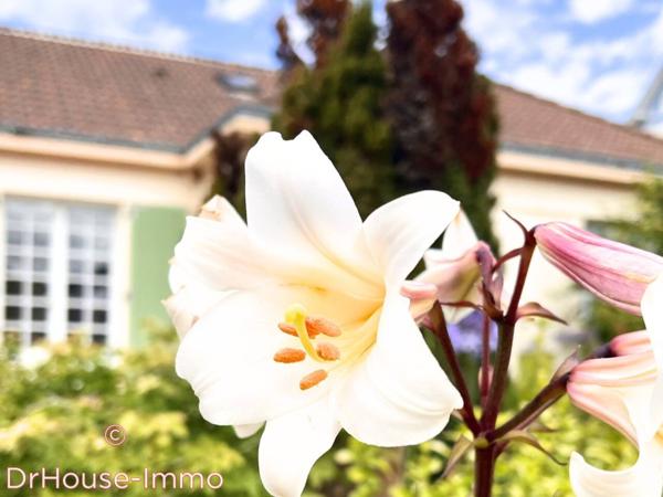 Maison à vendre 6 pièces de 227 m²