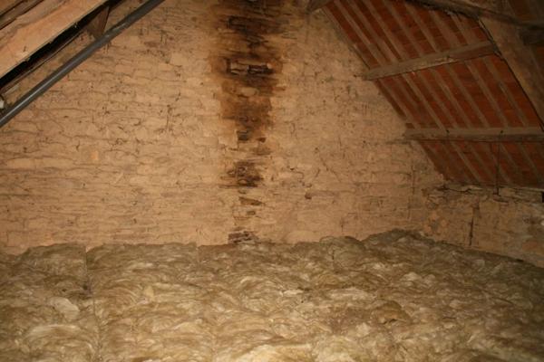 Vente Maison 3 pièces 68 m2 à La Croix-Helléan