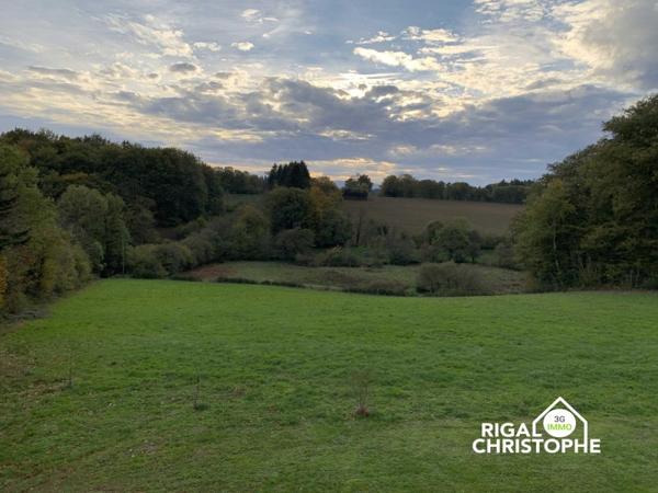 Vente / Maison et grand terrain