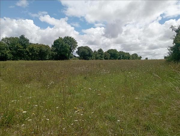 Terrain à vendre |  Saint-Saturnin-du-Bois |  3247 m²