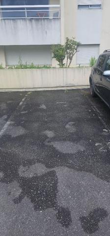 Le grand t1 avec locatiare , Quimper
