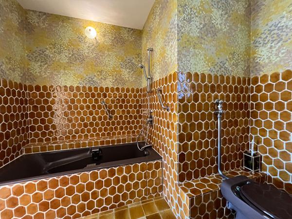 Maison d'architecte 1970 - la Rémigeasse 284 m² habitables 10 pièces