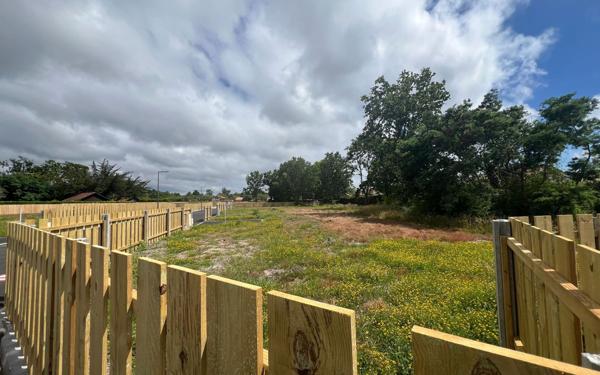 Terrain à vendre    Biscarrosse