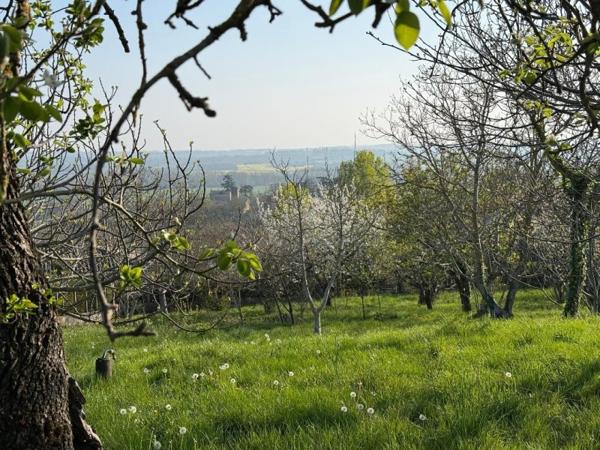 Vente / Terrain constructible