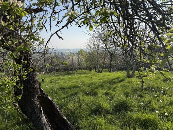 Vente / Terrain constructible