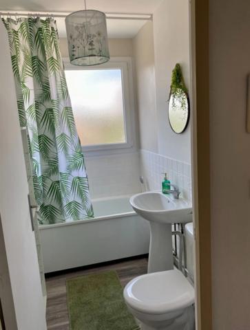 Appartement T1 FONTAINE LES DIJON (21)