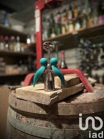 Maison à vendre 11 pièces 299 m² Le Blanc