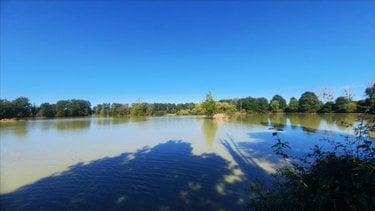 Terrain de loisirs - Bois - Etang à vendre à Arthon dans l'Indre (36330), ref : 021/1555