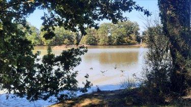 Terrain de loisirs - Bois - Etang à vendre à Arthon dans l'Indre (36330), ref : 021/1555