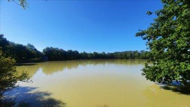 Terrain de loisirs - Bois - Etang à vendre à Arthon dans l'Indre (36330), ref : 021/1555