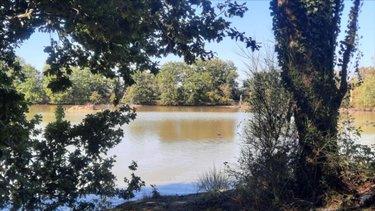 Terrain de loisirs - Bois - Etang à vendre à Arthon dans l'Indre (36330), ref : 021/1555