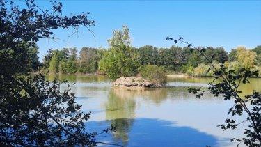 Terrain de loisirs - Bois - Etang à vendre à Arthon dans l'Indre (36330), ref : 021/1555