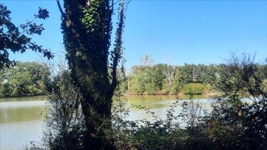 Terrain de loisirs - Bois - Etang à vendre à Arthon dans l'Indre (36330), ref : 021/1555