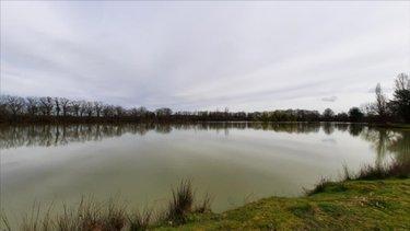 Terrain de loisirs - Bois - Etang à vendre à Arthon dans l'Indre (36330), ref : 021/1555