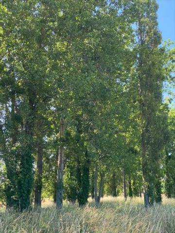 Terrain de loisirs - Bois - Etang à vendre à Cherrueix en Ille-et-Vilaine (35120), ref : 35130-969112