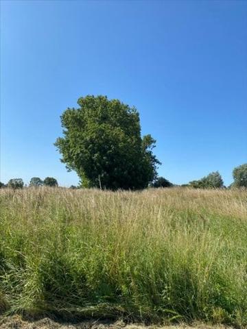 Terrain de loisirs - Bois - Etang à vendre à Cherrueix en Ille-et-Vilaine (35120), ref : 35130-969112