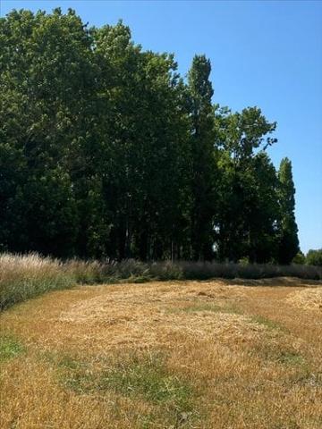 Terrain de loisirs - Bois - Etang à vendre à Cherrueix en Ille-et-Vilaine (35120), ref : 35130-969112