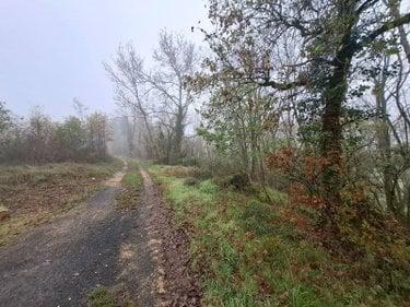 Terrain non constructible à vendre à Saint-Léon-sur-Vézère en Dordogne (24290), ref : 18113/163