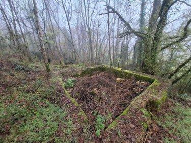 Terrain non constructible à vendre à Saint-Léon-sur-Vézère en Dordogne (24290), ref : 18113/163