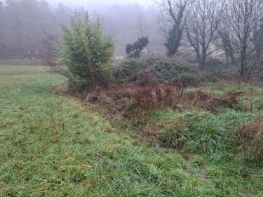 Terrain non constructible à vendre à Saint-Léon-sur-Vézère en Dordogne (24290), ref : 18113/163