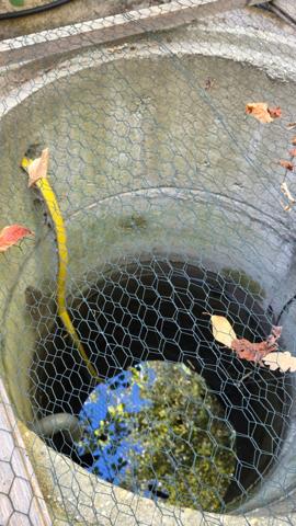 SAINT SAVOURNIN (13) Maison 5p pleine de charme avec dépendance, piscine, cuisine d’été, four et garage.