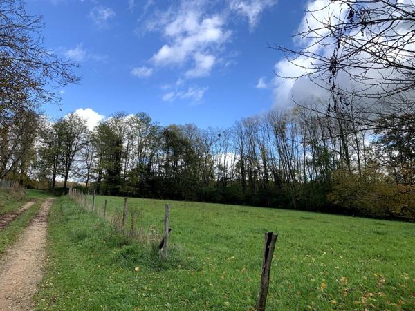 Jolie fermette Bressane avec grand terrain