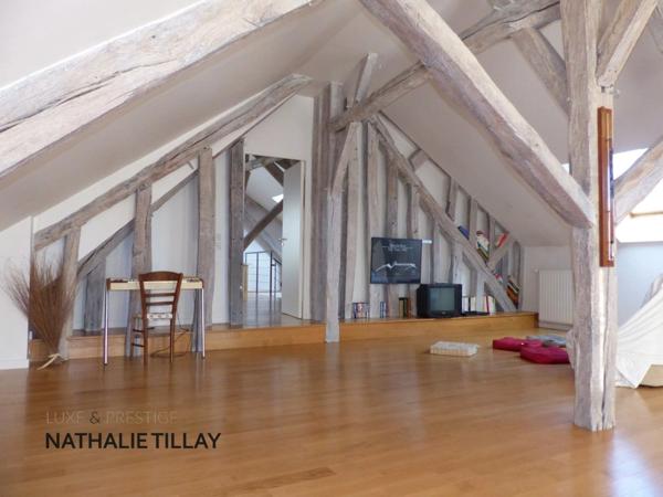 Saint-Jean-le-Blanc, proche Orleans, à vendre, maison de Maitre du XIXème de 423 m² habitables, avec piscine, parc arboré de 4 655 m²