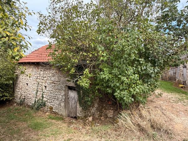 EN EXCLUSIVITE ! Propriété 2 maisons + dépendances sur 4700 m2 de terrain (ou 1ha8 si nécessaire) 88 000 €