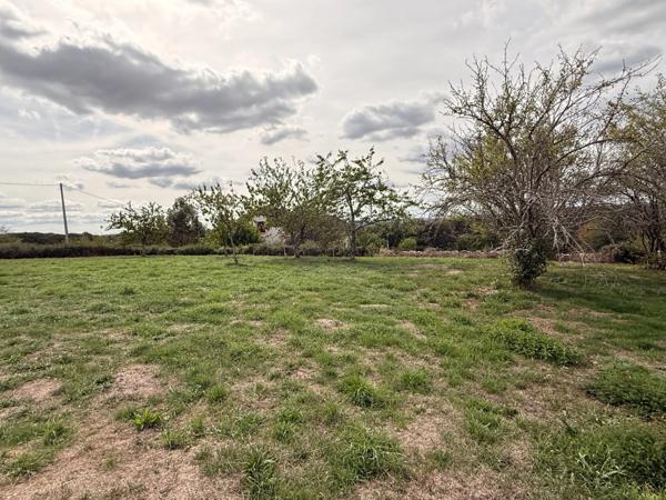 EN EXCLUSIVITE ! Propriété 2 maisons + dépendances sur 4700 m2 de terrain (ou 1ha8 si nécessaire) 88 000 €