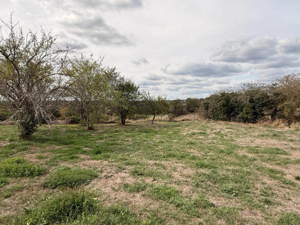 EN EXCLUSIVITE ! Propriété 2 maisons + dépendances sur 4700 m2 de terrain (ou 1ha8 si nécessaire) 88 000 €