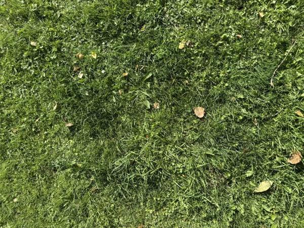 Terrain à vendre |  Saint-Évarzec |  553 m²