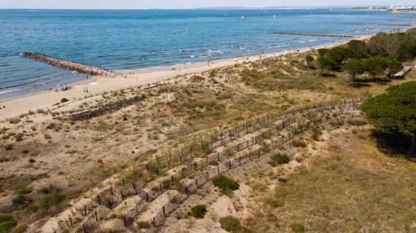 Bouches-du-Rhône (13) Saintes-maries-de la mer (13460) à vendre Murs et Fonds de commerce d'un Hôtel 3 Étoiles- 30 chambres.