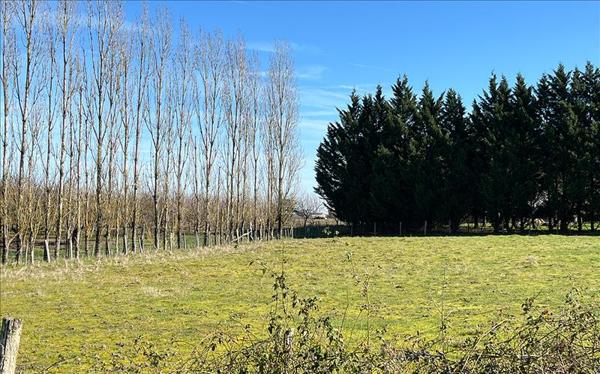 Terrain à vendre |  Meilhan-sur-Garonne |  1000 m²