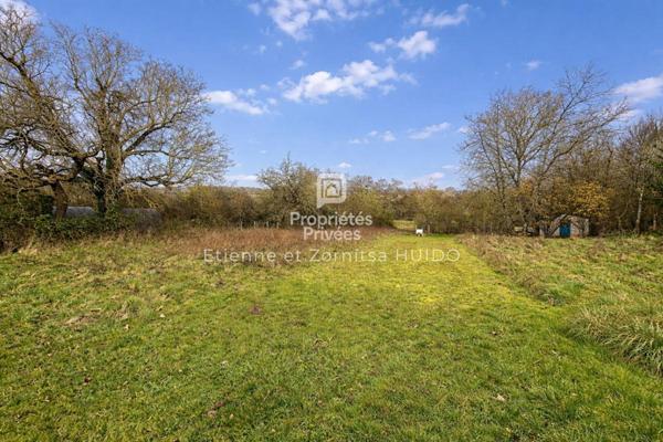 Terrain Buxeuil 1850 m2