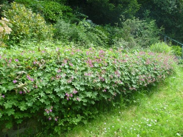 Dpt Seine Maritime (76), à vendre Maison Bourgeoise à Sainte Adresse