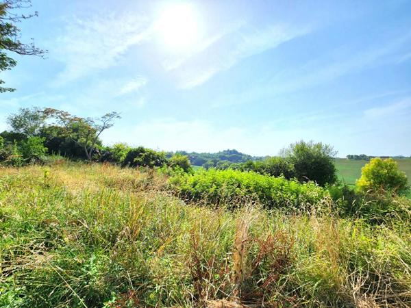 MONTFORT EN CHALOSSE - Grange 150m² - TERRAIN 2900m²