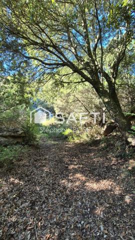 TERRAIN A BATIR VIABILISE DE 3 800 m2